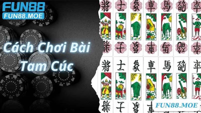 Hướng Dẫn Cách Chơi Bài Tam Cúc Quy Tắc Và Cách Tính Điểm Cơ Bản