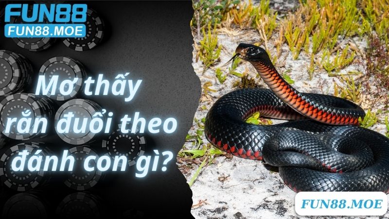 Mơ thấy rắn đánh con gì, bị rắn đuổi theo