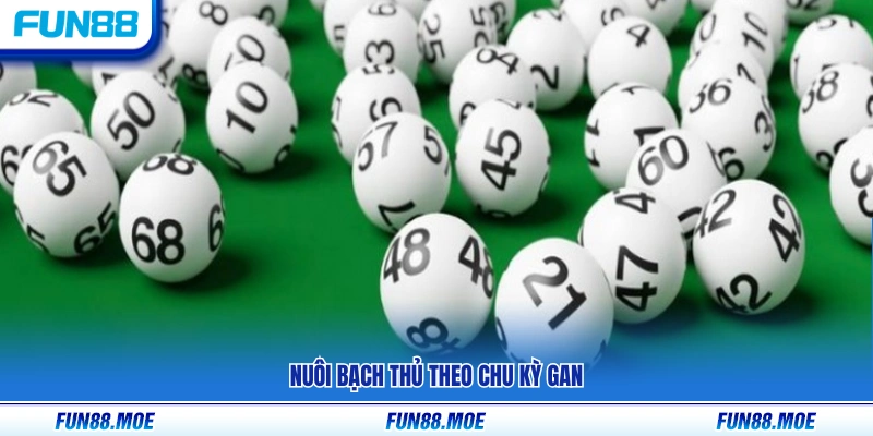 Phương pháp nuôi bạch thủ dựa trên chu kỳ gan